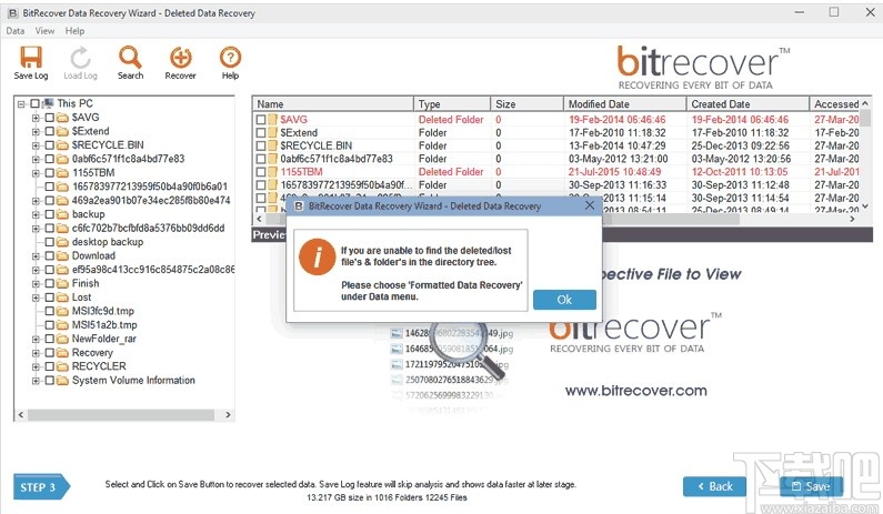 BitRecover Data Recovery Wizard(数据恢复软件)