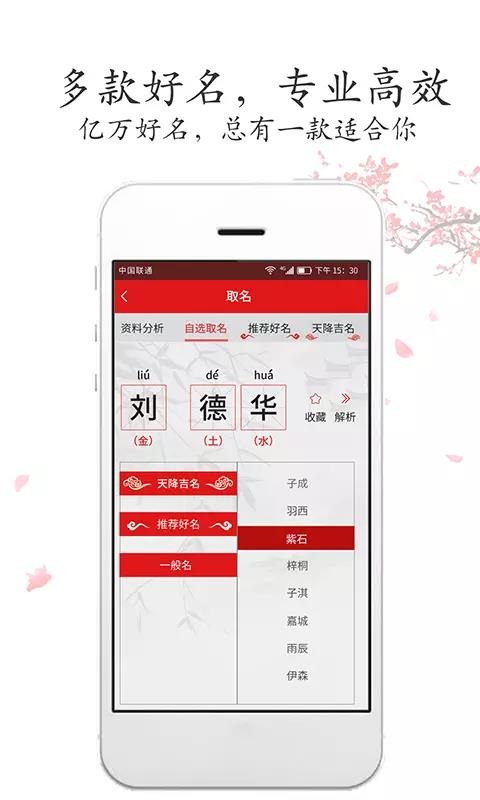 取名字(3)