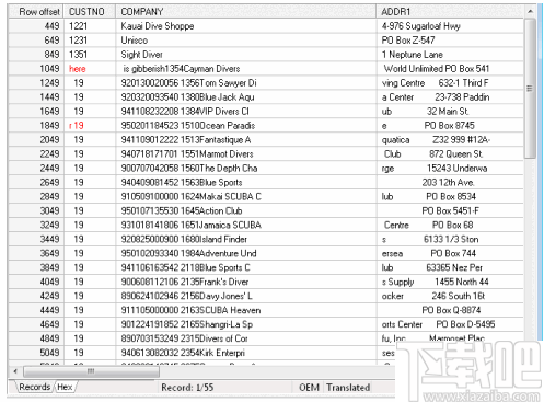 DBF Doctor(DBF文件修复软件)