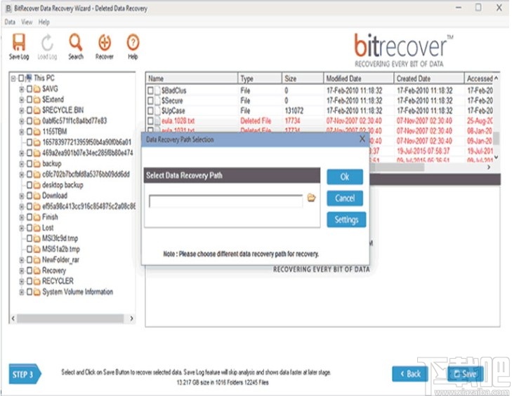 BitRecover VMFS Recovery Wizard(VMFS数据恢复软件)