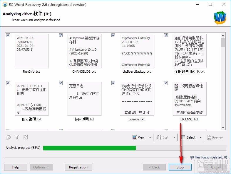 RS Word Recovery(Word文档恢复软件)