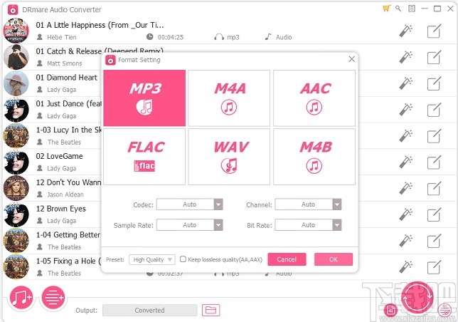 DRmare Audio Converter(音频格式转换器)