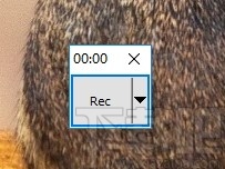 RecButton(小巧录屏软件)