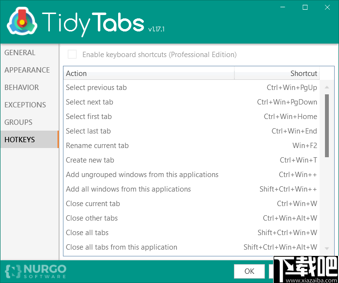 TidyTabs Pro(电脑窗口整合软件)