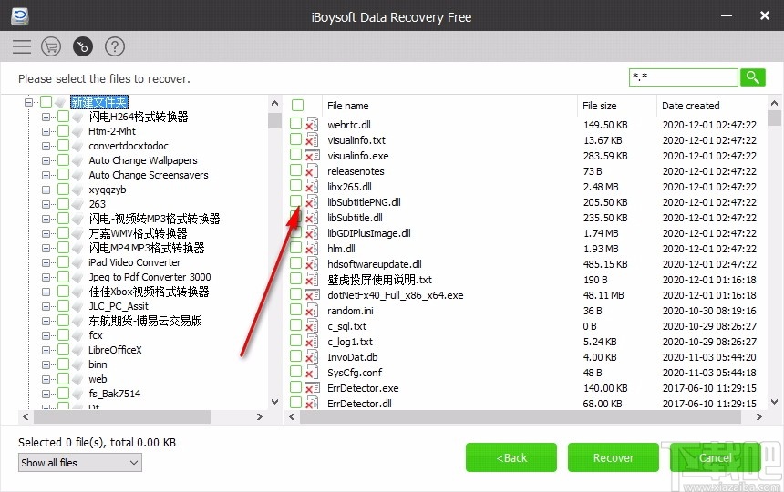 iBoysoft Data Recovery(数据恢复软件)