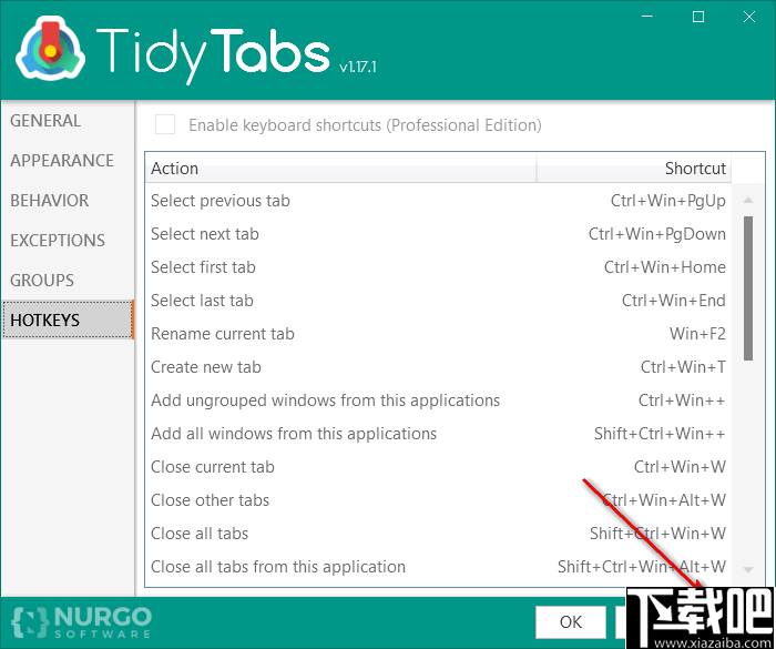 TidyTabs Pro(电脑窗口整合软件)