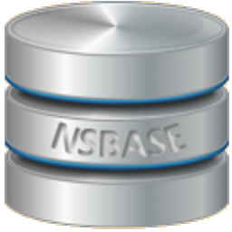 NSBase(数据库管理系统)