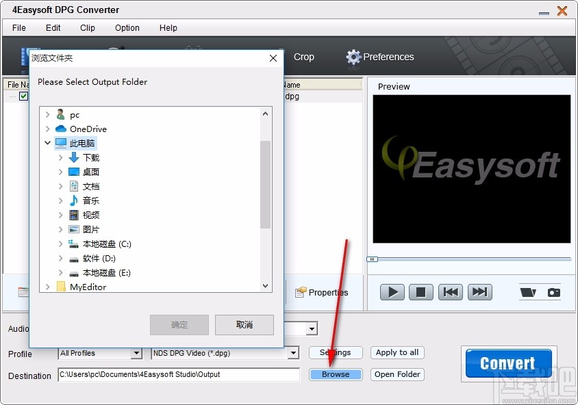 4Easysoft DPG Converter(DPG视频格式转换器)