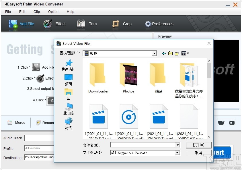 4Easysoft Palm Video Converter(视频转换软件)