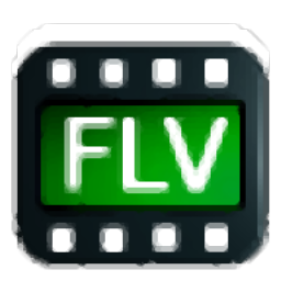 4Easysoft Free FLV Converter(FLV视频格式转换器)