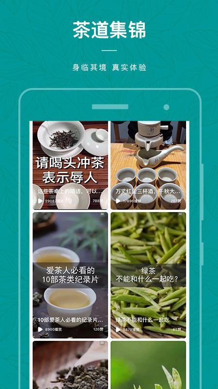 茶物几何(4)