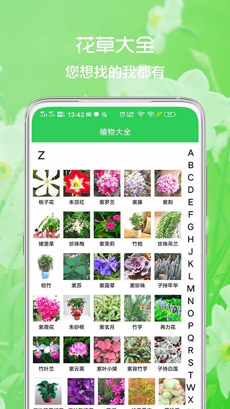 花草日记(3)