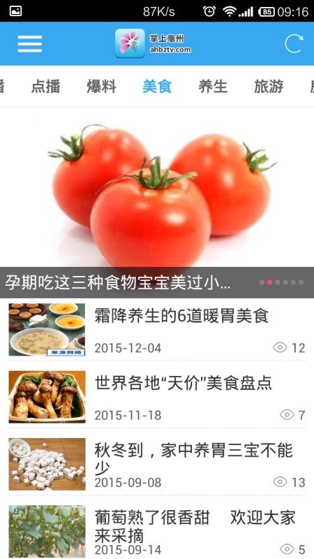 掌上亳州(4)