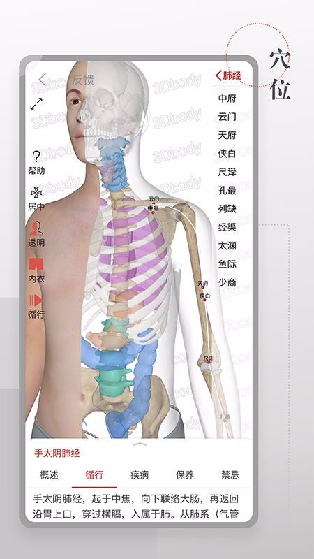 运动功能解剖教学系统(3)