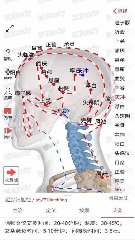 3D经络穴位