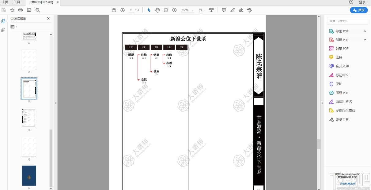 大谱师家谱智能编辑软件