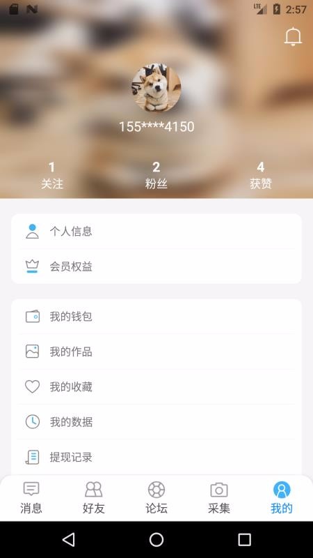 脑行(4)