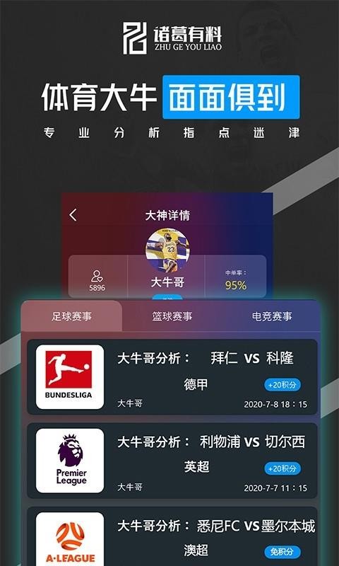 诸葛有料