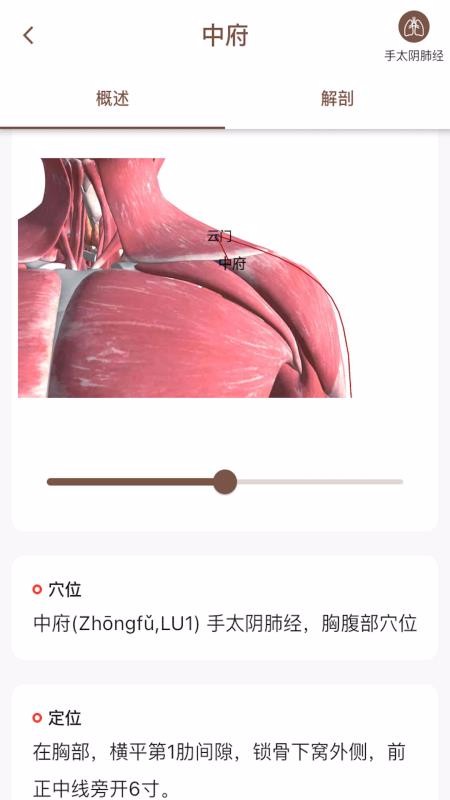 经络穴位3D(4)