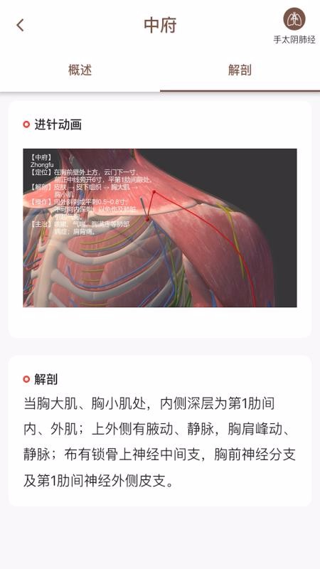 经络穴位3D(5)