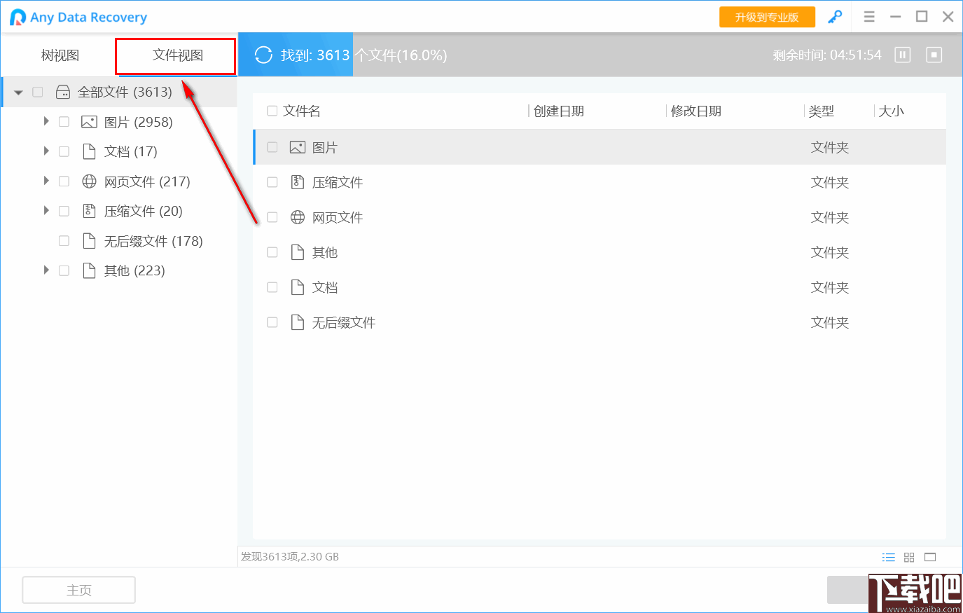 Any Data Recovery Pro(数据恢复软件)