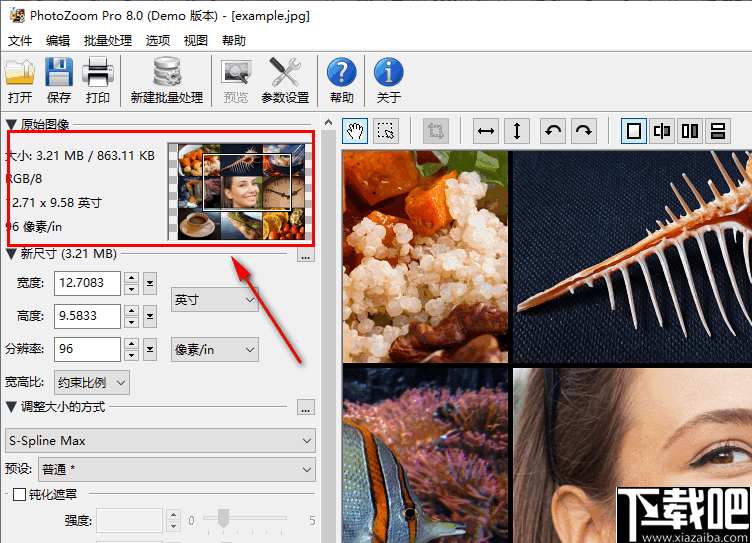 BenVista PhotoZoom Pro(无损调节图像大小软件)