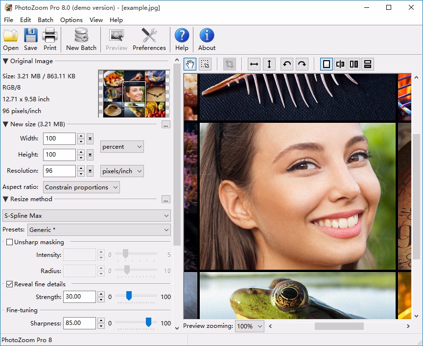 BenVista PhotoZoom Pro设置中文的方法