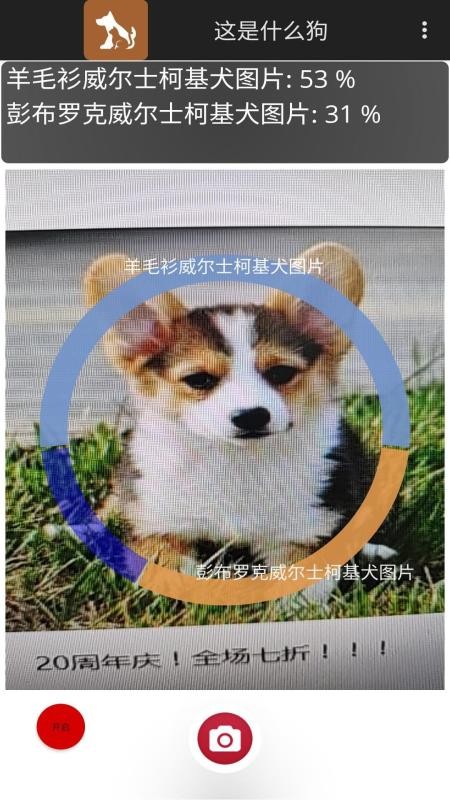 这是什么狗(4)