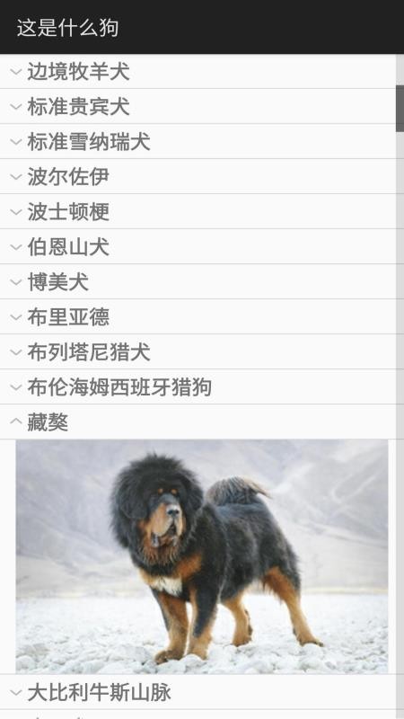 这是什么狗(5)