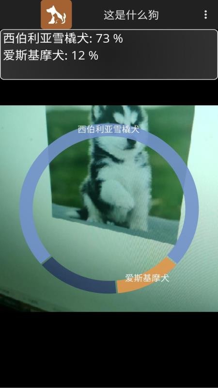 这是什么狗(3)