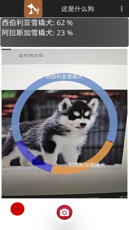 这是什么狗(2)