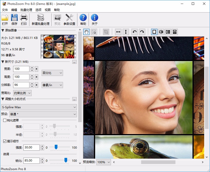 BenVista PhotoZoom Pro旋转图片的方法