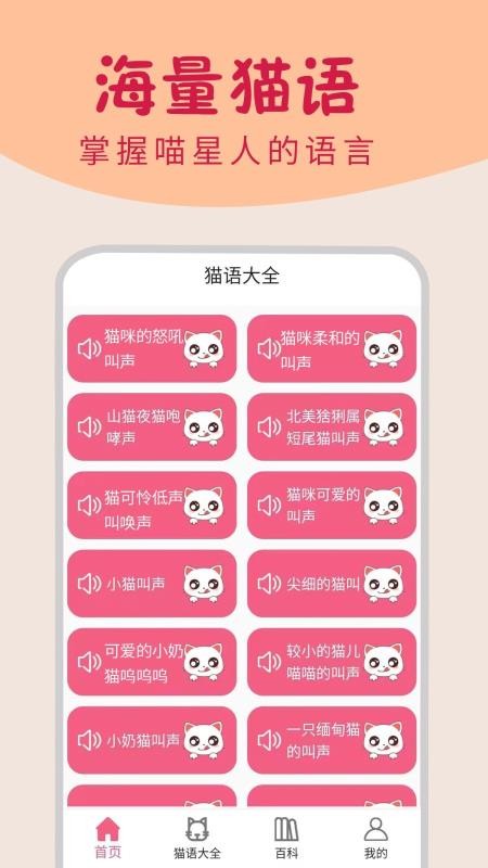 小猫翻译器(4)