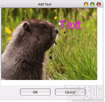 Video to GIF Converter(视频转gif转换器)