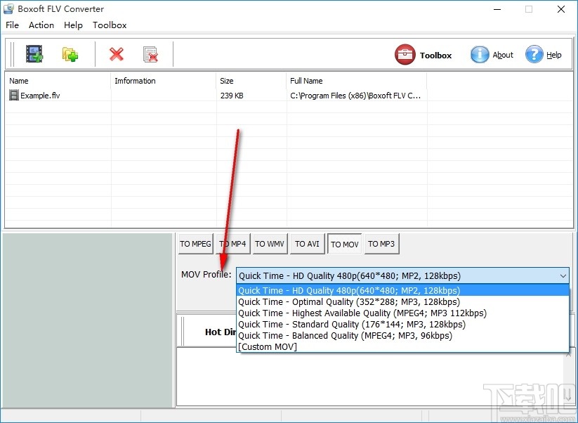 Boxoft FLV Converter(FLV格式转换软件)