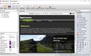 Website Painter(Web编辑器)