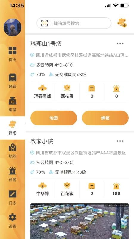 大蜂慧