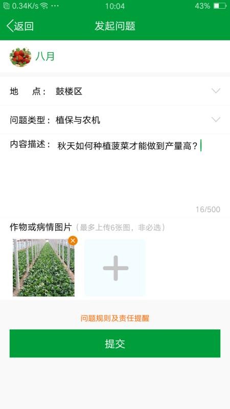 布谷声声(1)