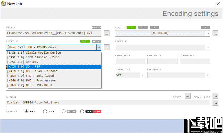 RipBot264(视频转换工具)