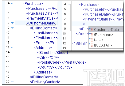 Oxygen XML Author(XML创作软件)