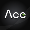 海林ace