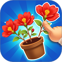 消个花朵吧