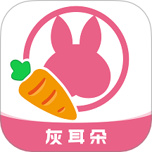灰耳朵陪宠