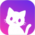 小红猫