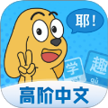 适趣高阶中文