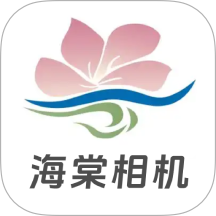 海棠