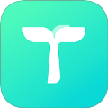 TaPlay