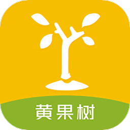 黄果树知识