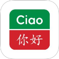 精选意汉汉意词典