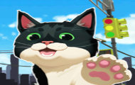 小猫咪大城市蝴蝶帽怎么获得
